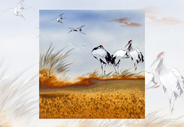 ���_(t��i)�������g(sh��)�^�����e�k�������մ�ˇ�g(sh��)չ