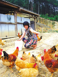 六千元資金帶來六萬元收益圖片