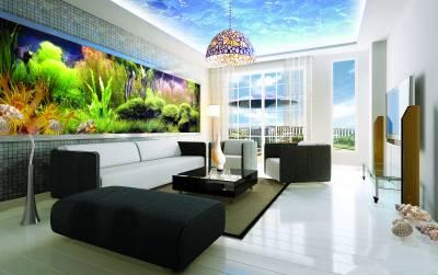 �������g���ô���e�ĺ������P(gu��n)�D������b�޺ͼҾ��υs���÷ǳ��������ֶ����@�ӣ�����g�����c���s�bY(ji��)�ϸ��ܺ��г������L(f��ng)֮��Ȥ���O(sh��)Ӌ���D/���ຣ