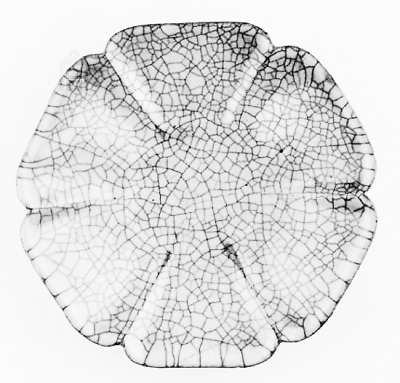 ���δ���G�����ڹʌm�ܵ��p��һ�����ʌm����Ժ�k������������ͨ�^ý�w����������f����