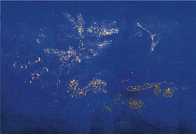 �ɾ��`֥�yD