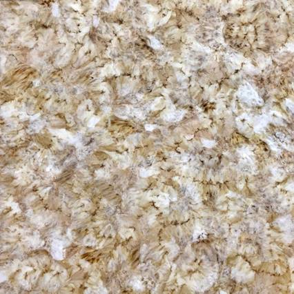 8PD1703A帝王鉆系列