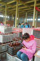 3��12�����x���Еx���մ����޹�˾���a(ch��n)܇�g���������ڼӾo���a(ch��n)��ԓ��˾��Ͷ�Y12�|Ԫ���ծa(ch��n)�ƾ�2�f֧����a(ch��n)ֵ�_(d��)�σ|Ԫ����Ҫ���a(ch��n)����иߙn��ƿ�ƾߡ�2016����ԓ��˾ȫ�����ص�ӆ�����_(d��)6000�fԪ��������500���˾͘I(y��)������